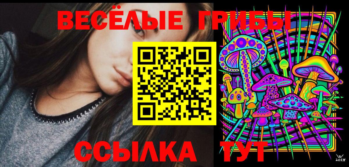 Галлюциногенные грибы Psilocybine cubensis  Вход с VPN  Крымск 